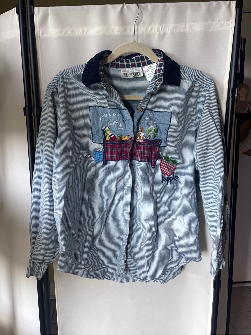 Vintage Teacher Blue Striped Embroidered Button-Down Shirt